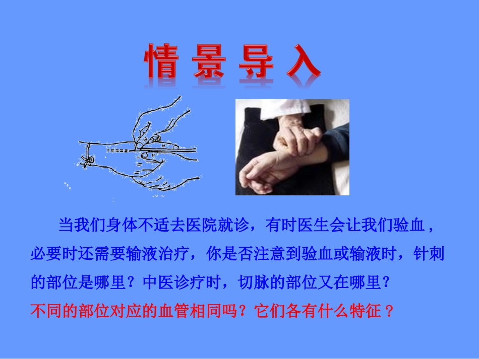 七下4.4.2血流的管道—血管-课件_第2页