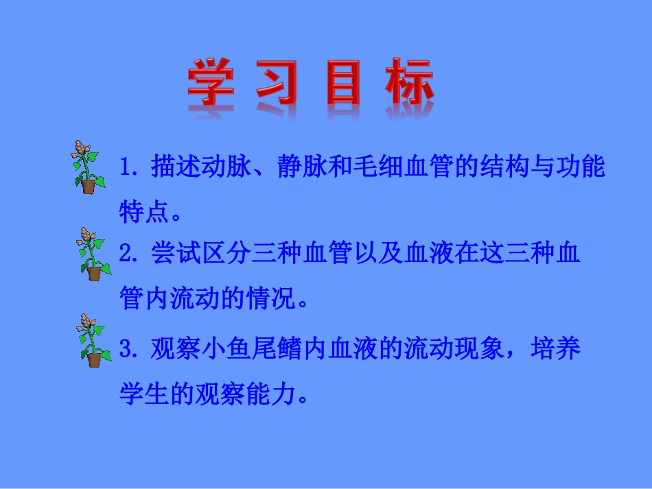 七下4.4.2血流的管道—血管-课件_第3页