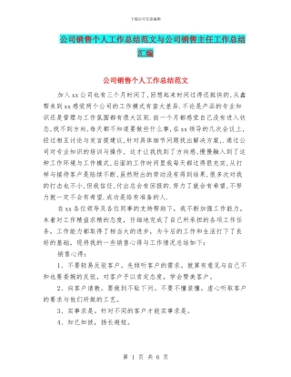 公司销售个人工作总结范文与公司销售主任工作总结汇编