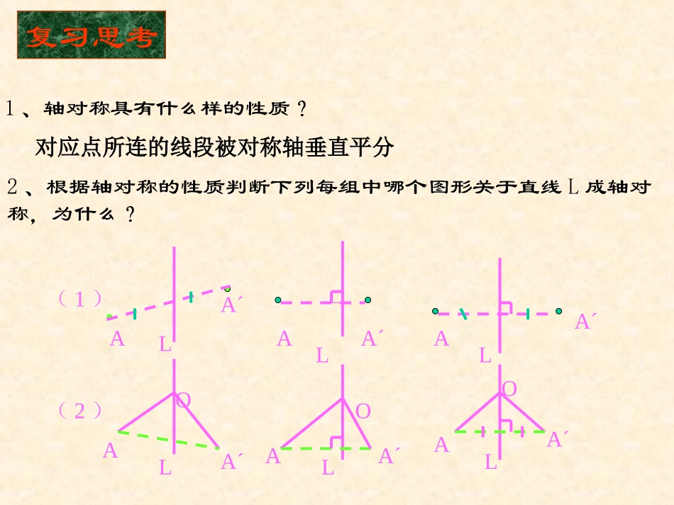 10.2.4设计轴对称图案_第2页