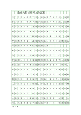 企业内勤试用期工作汇报精品工作报告