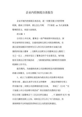 企业内控制度自查报告