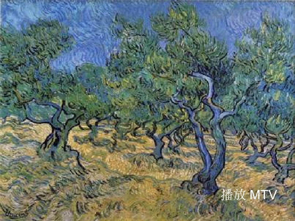 橄榄树.ppt2_第3页