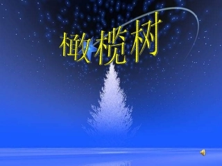 橄榄树.ppt2