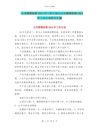 公司销售助理2024年工作计划与公司销售助理2024年工作计划范文汇编
