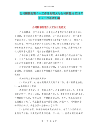 公司销售助理个人工作计划范文与公司销售员2024年个人工作总结汇编
