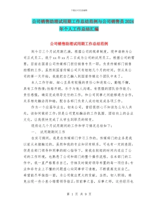 公司销售助理试用期工作总结范例与公司销售员2024年个人工作总结汇编