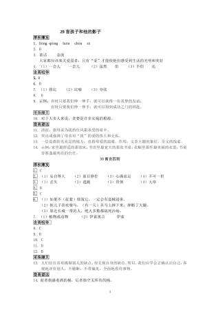 29-盲孩子和他的影子