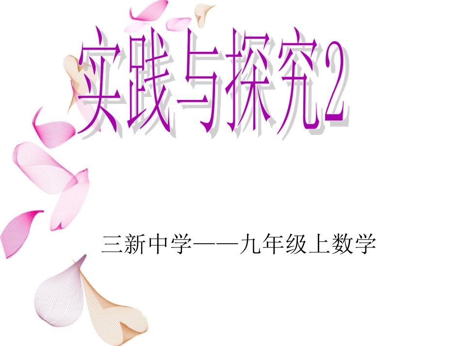 实践与探究2_第1页