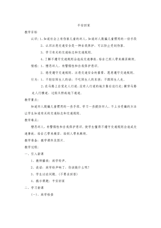 平安回家-(2)