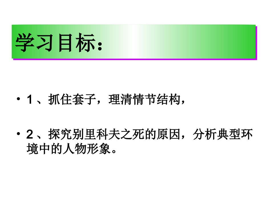 《套中人》课件_第2页