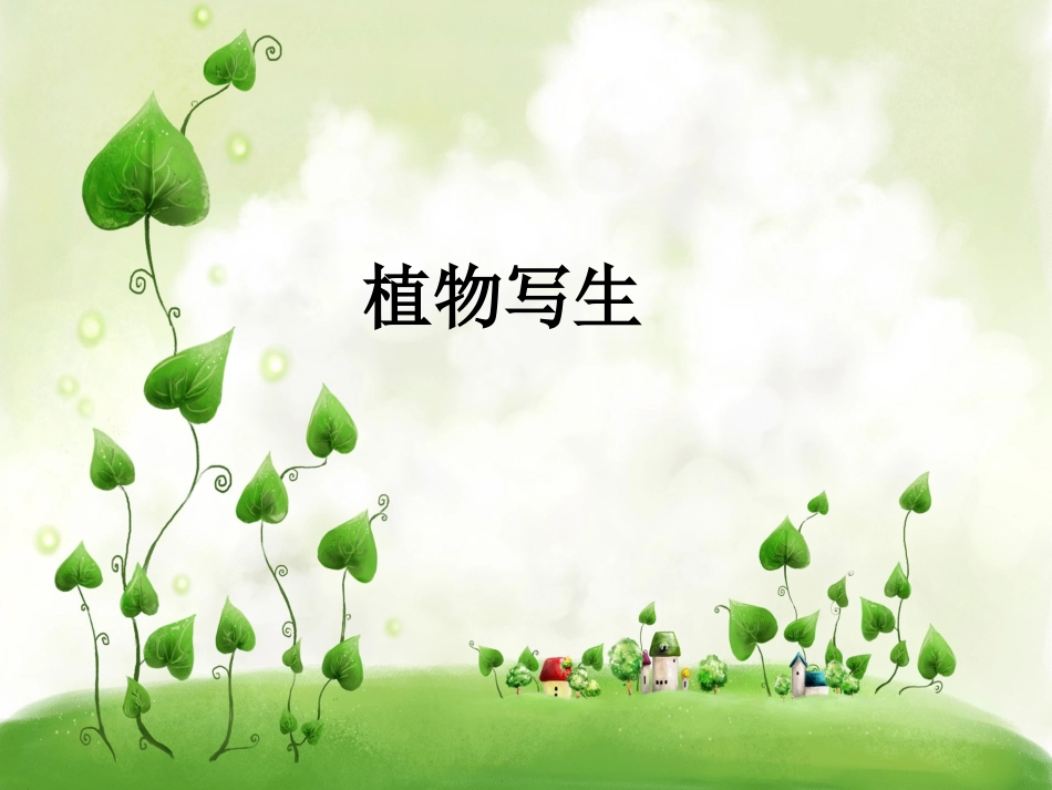 《植物写生》课件2_第1页