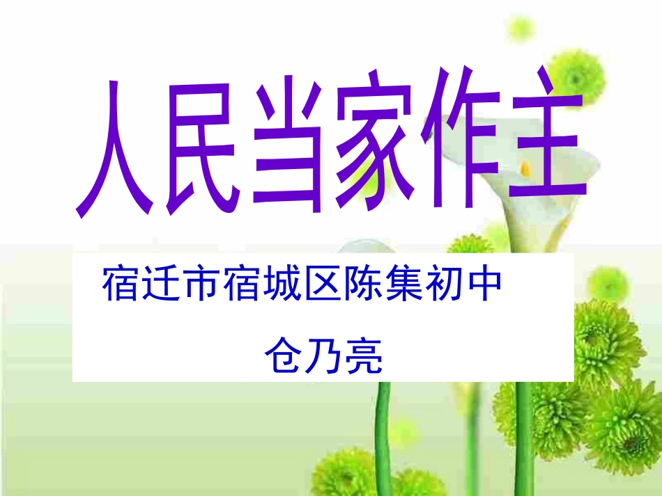 全面依法治国_第1页