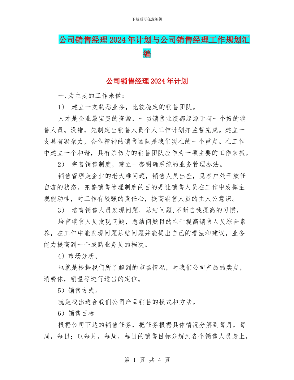 公司销售经理2024年计划与公司销售经理工作规划汇编_第1页