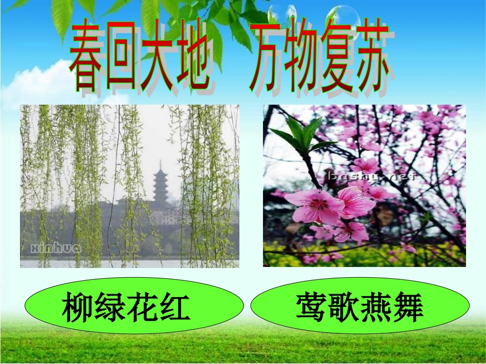 2.春雨的色彩-(1)_第3页