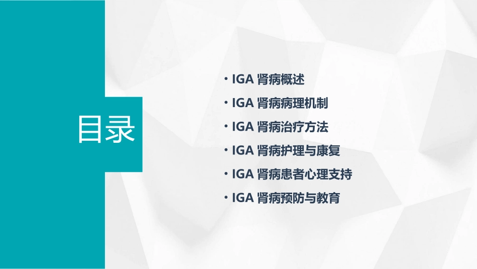 IgA肾病诊断护理课件_第2页