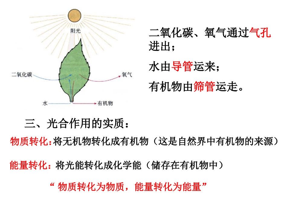 光合作用复习_第3页