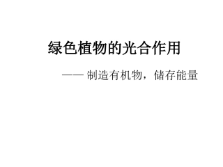 光合作用复习