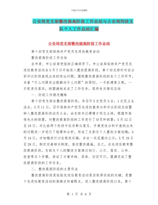 公安局党支部整改提高阶段工作总结与公安局刑侦支队个人工作总结汇编