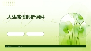 人生感悟剖析课件