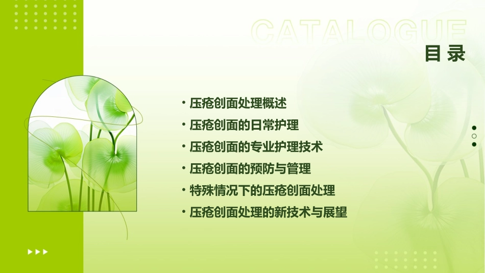 压疮创面处理护理课件_第2页