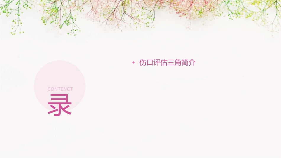 伤口评估三角应用护理课件1_第2页