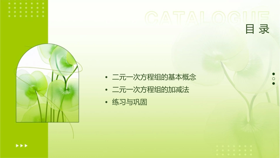 二元一次方程组加减法课件1_第2页