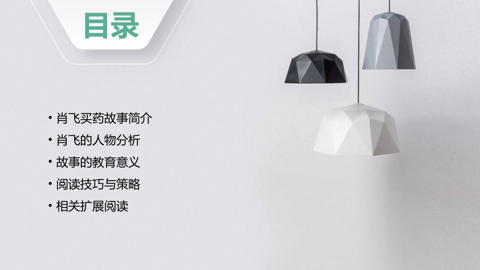 五年级上快乐读书屋肖飞买药课件_第2页