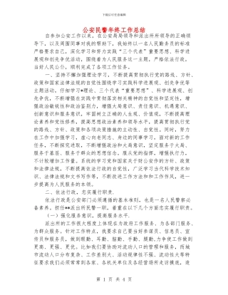 公安民警年终工作总结