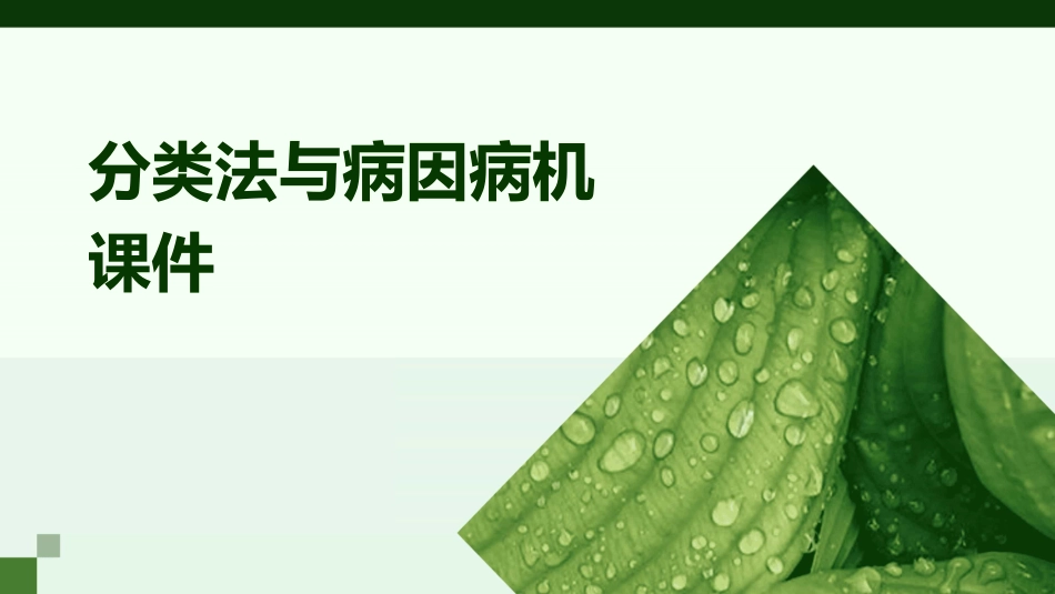 分类法与病因病机课件_第1页
