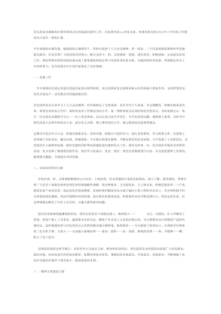 村支书年中总结1