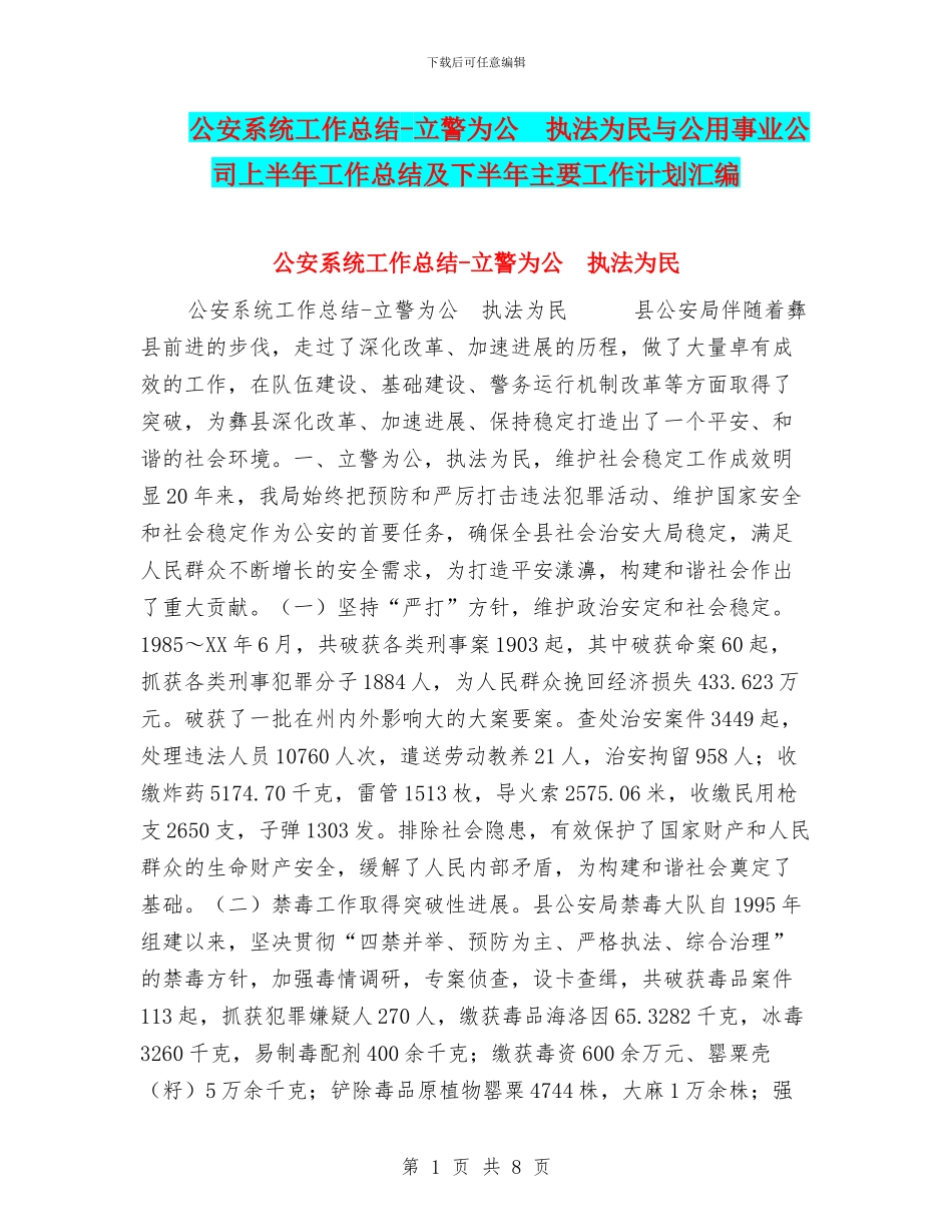 公安系统工作总结_第1页