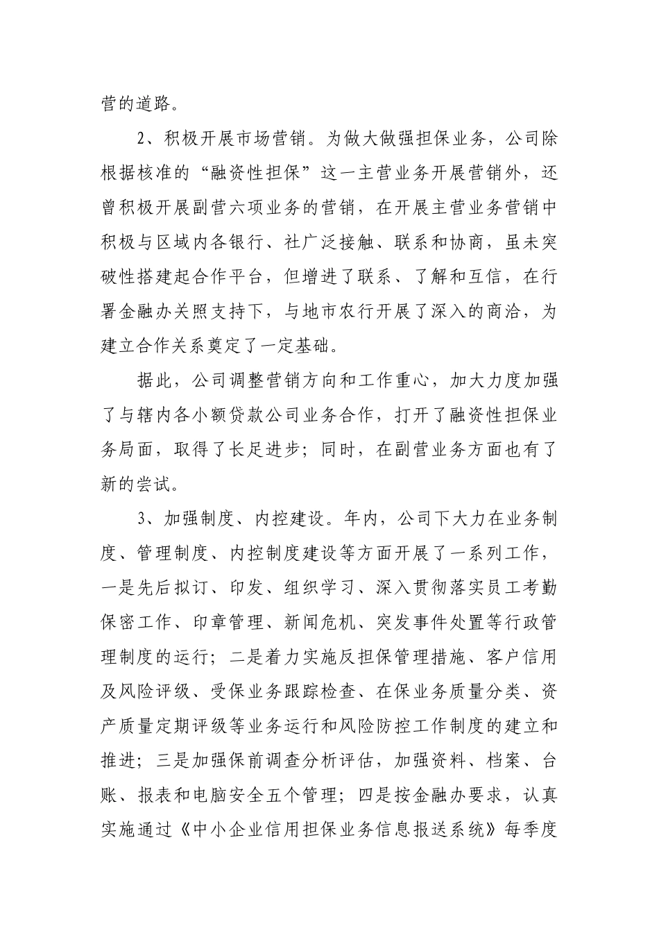 担保公司工作总结_第3页