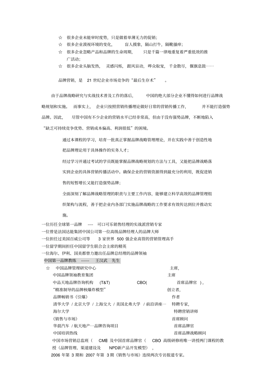 企业品牌战略与管理_第2页