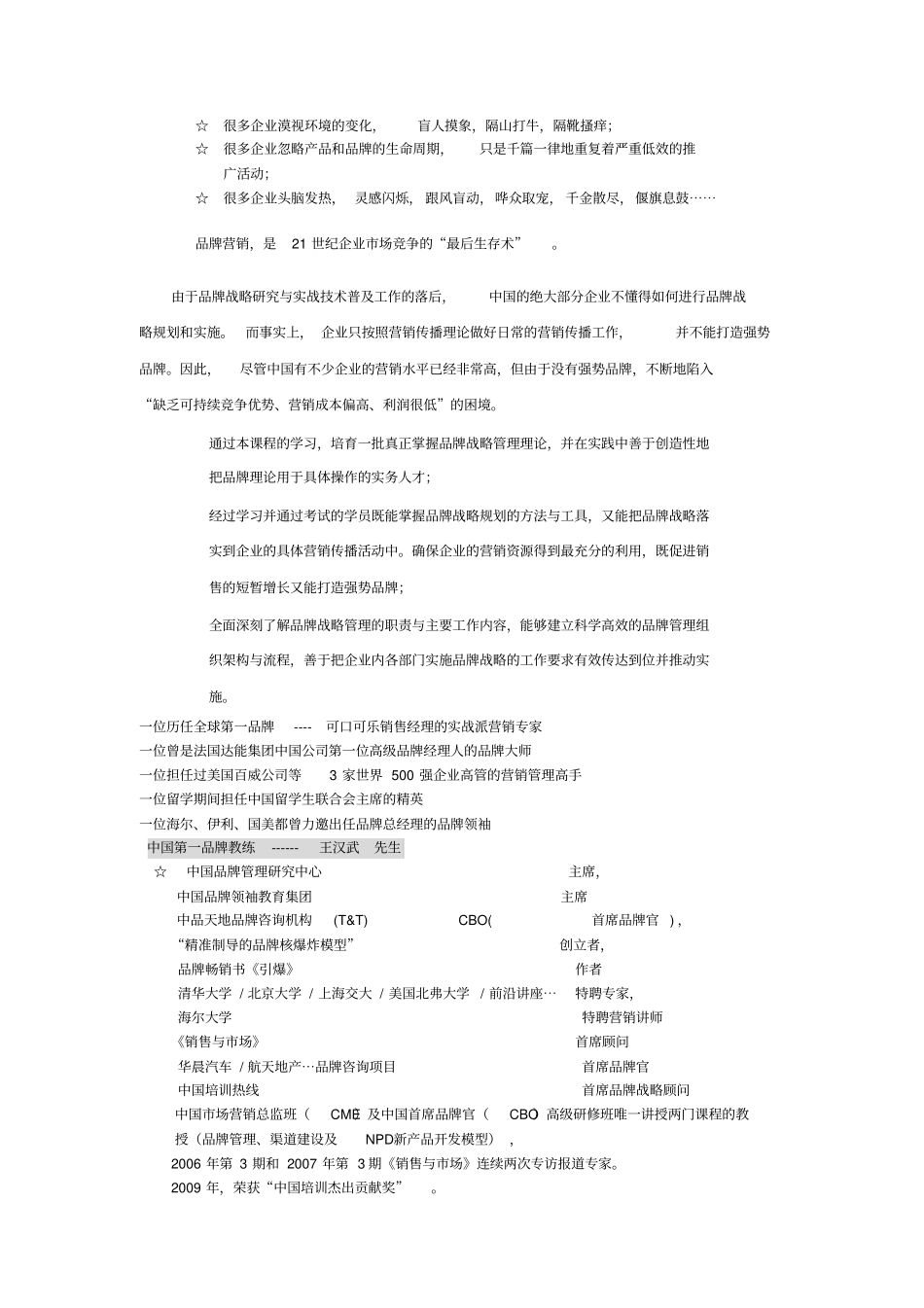 企业品牌战略管理_第2页