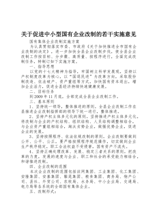 关于促进中小型国有企业改制的若干实施意见