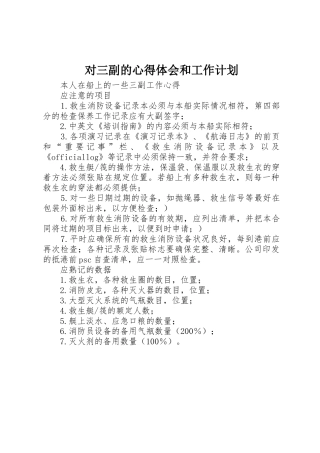 对三副的心得体会和工作计划