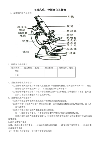 使用高倍显微镜