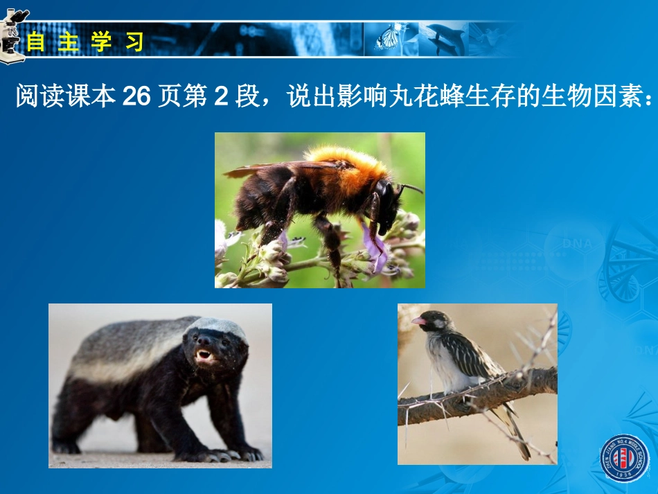 2.2.2环境影响生物的生存(二)_第2页