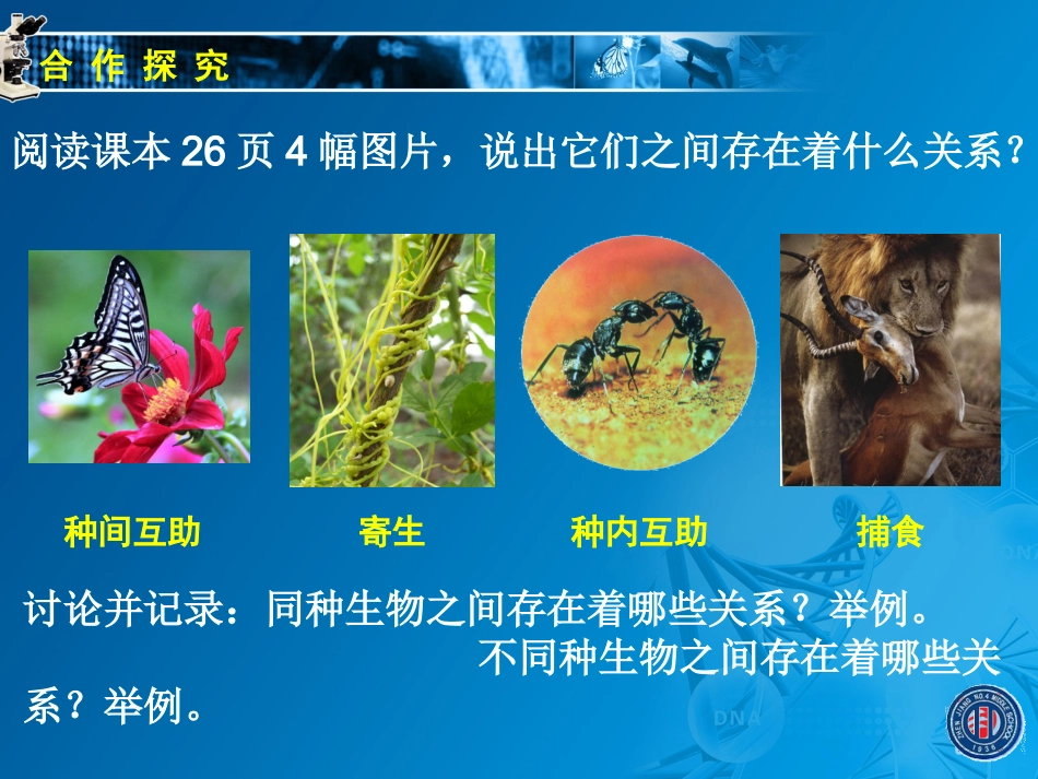 2.2.2环境影响生物的生存(二)_第3页