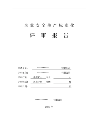 企业安全生产标准化评审报告