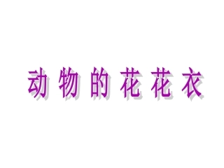 动物的花花衣