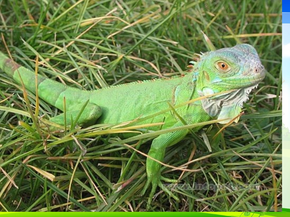 人教2011版小学数学三年级三位数的不连续进位加法_第3页