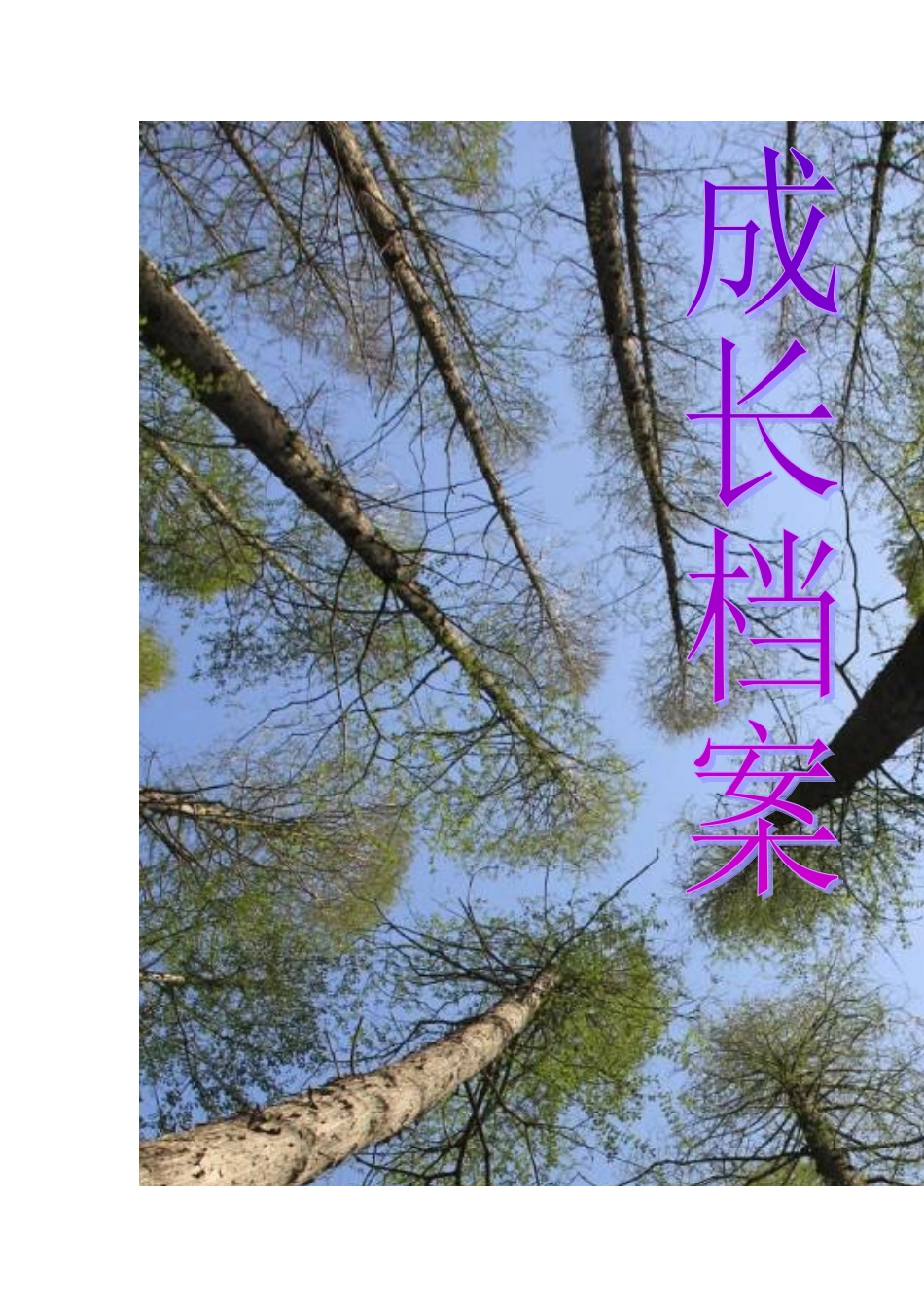 成长档案-90923_第1页