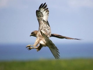 3421《自己去吧》