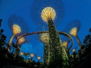 11.有趣的仿生设计