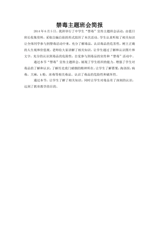 禁毒主题班会简报