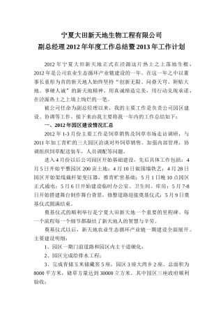 副总经理年度工作总结及计划