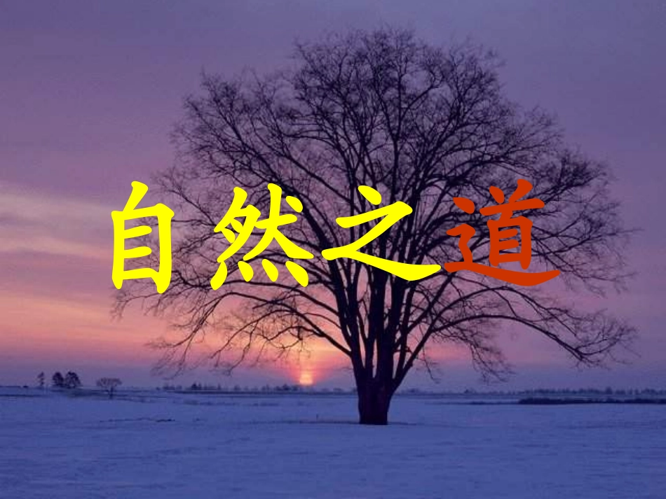 人教版四年级下册第三单元自然之道_第1页