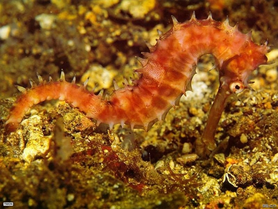 人教版四年级下册第三单元自然之道_第2页